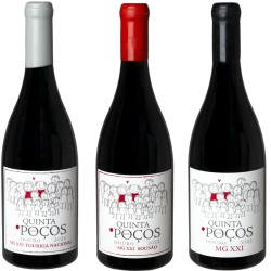 Caixa Vinho MG XXI Mistura 2022
