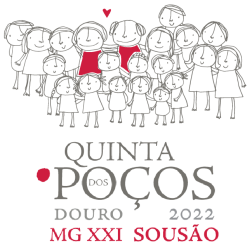 3 Caixas Conjunto MG Tinto 2022