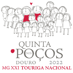 3 Caixas Conjunto MG Tinto 2022