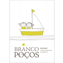 3 Garrafas de Vinho Branco, Tinto e Rosé